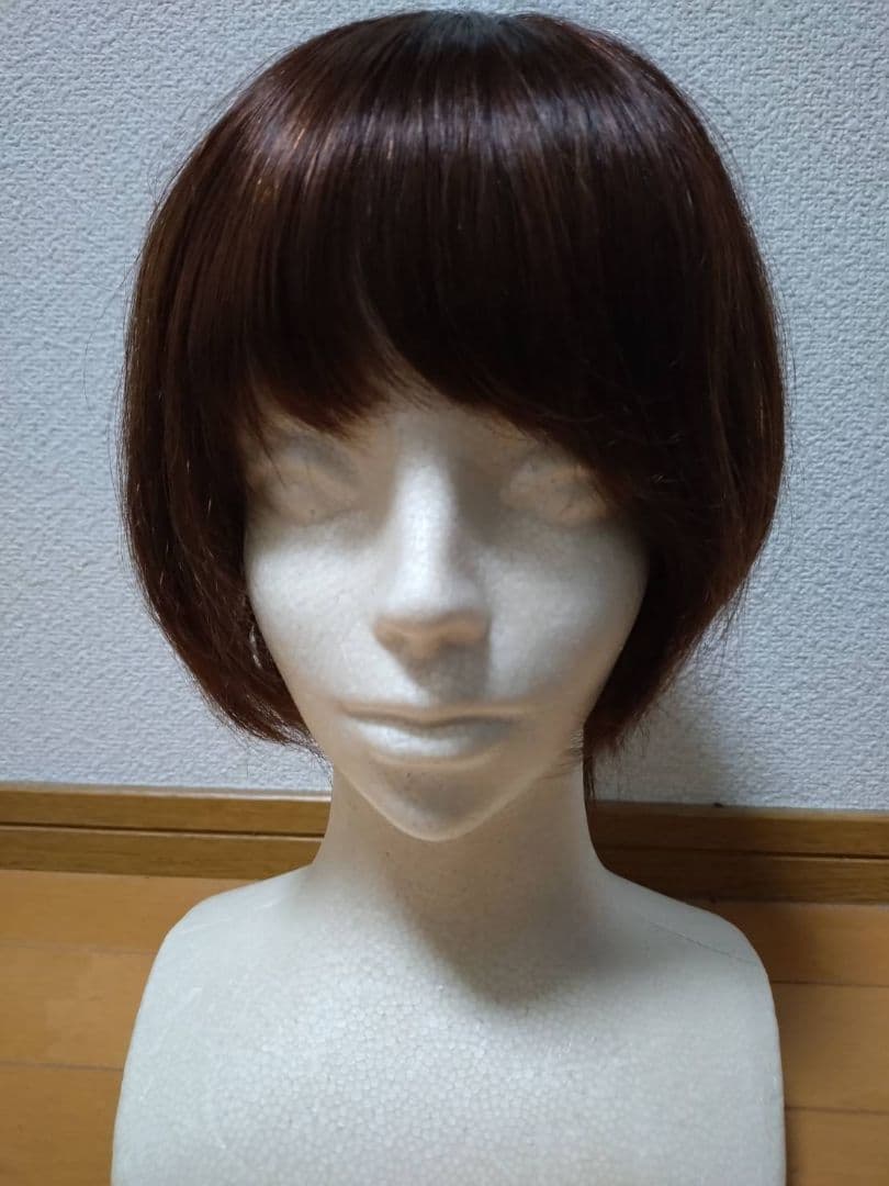 人毛100%　Sサイズ　ブラウン　フルウィッグ