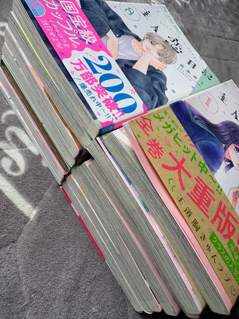 しーやん様　主人恋日記　全巻　1〜12巻 セット　特装版　アクスタ 付き