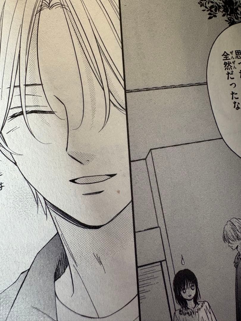 しーやん様　主人恋日記　全巻　1〜12巻 セット　特装版　アクスタ 付き