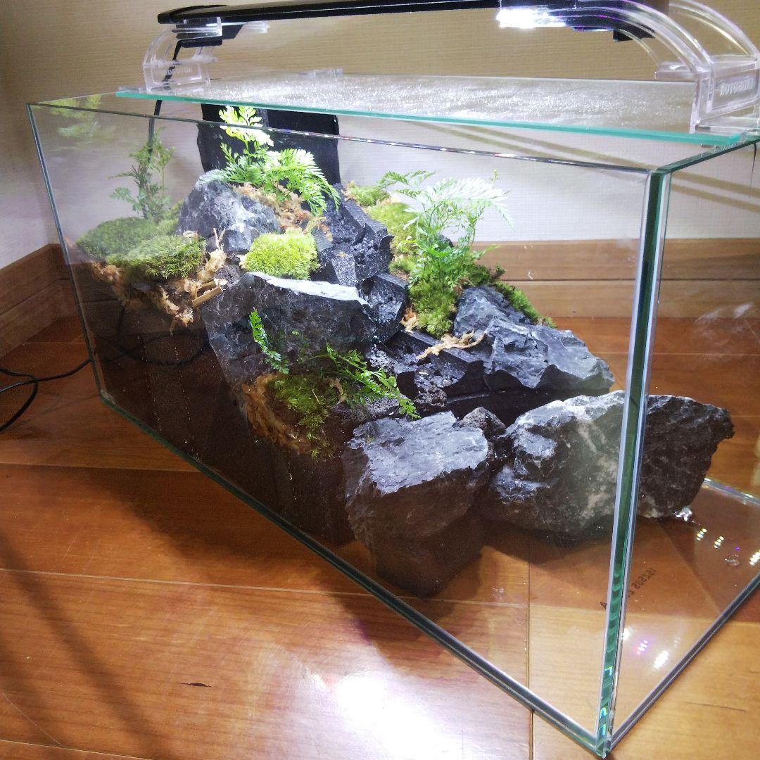 【受注生産】滝の流れるアクアテラリウム　イモリウム　苔テラリウム　テラリウム