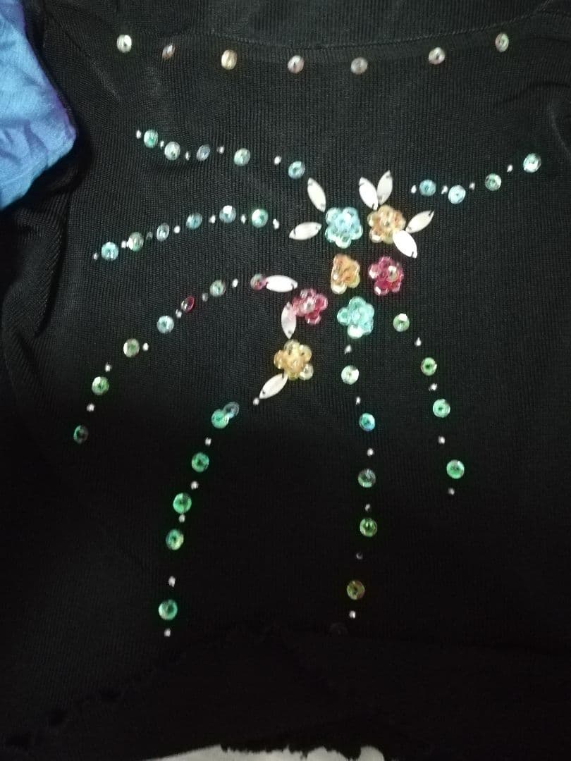 社交ダンス　カラオケにも　上下　フリーサイズ