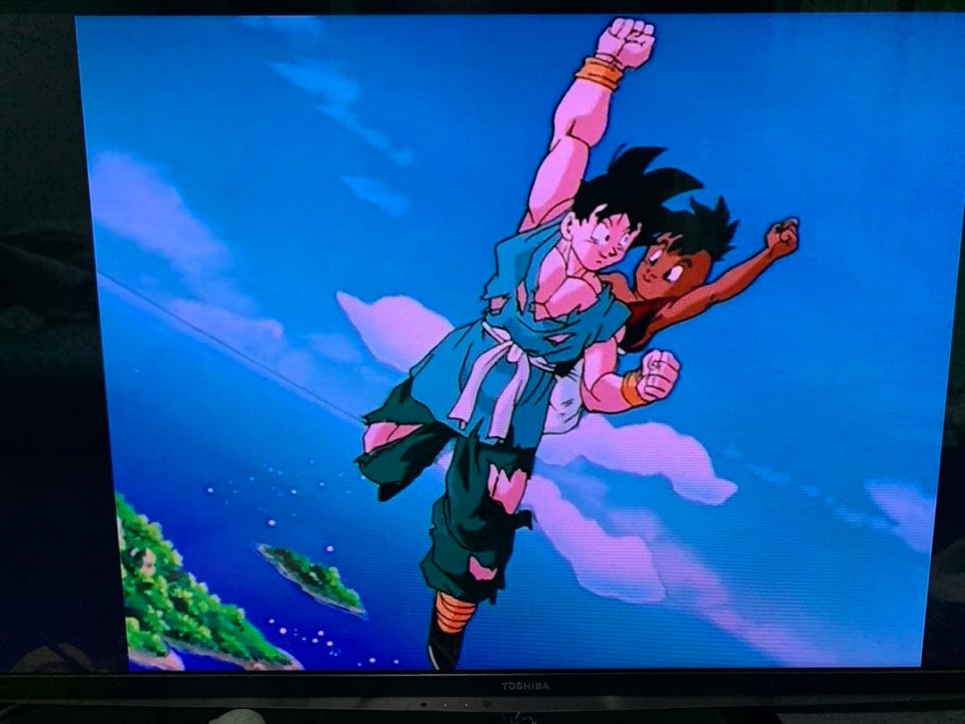 海外版　ドラゴンボールZコレクション（DVD）＋おまけ付き