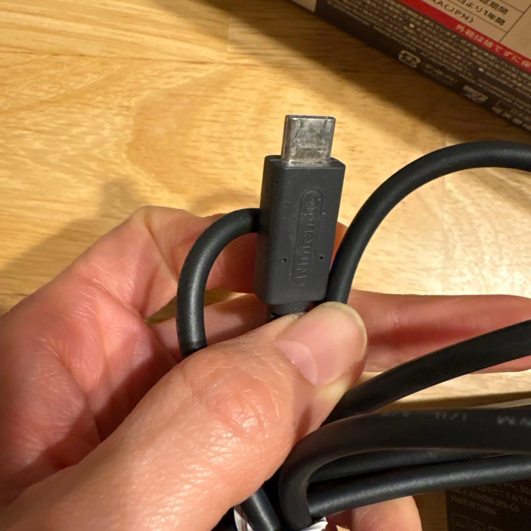 Nintendo Switch Lite グレー 本体 ACアダプター　付き