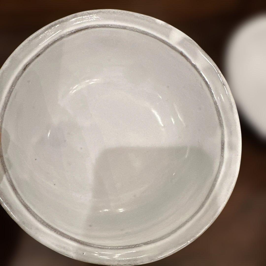 ⚫️専用⚫️ アスティエ・ド・ヴィラット サラダ　取り皿　サラダ