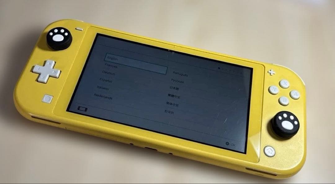 d*7様 初期化済み☆Nintendo Switch ライト　説明文を最後まで確