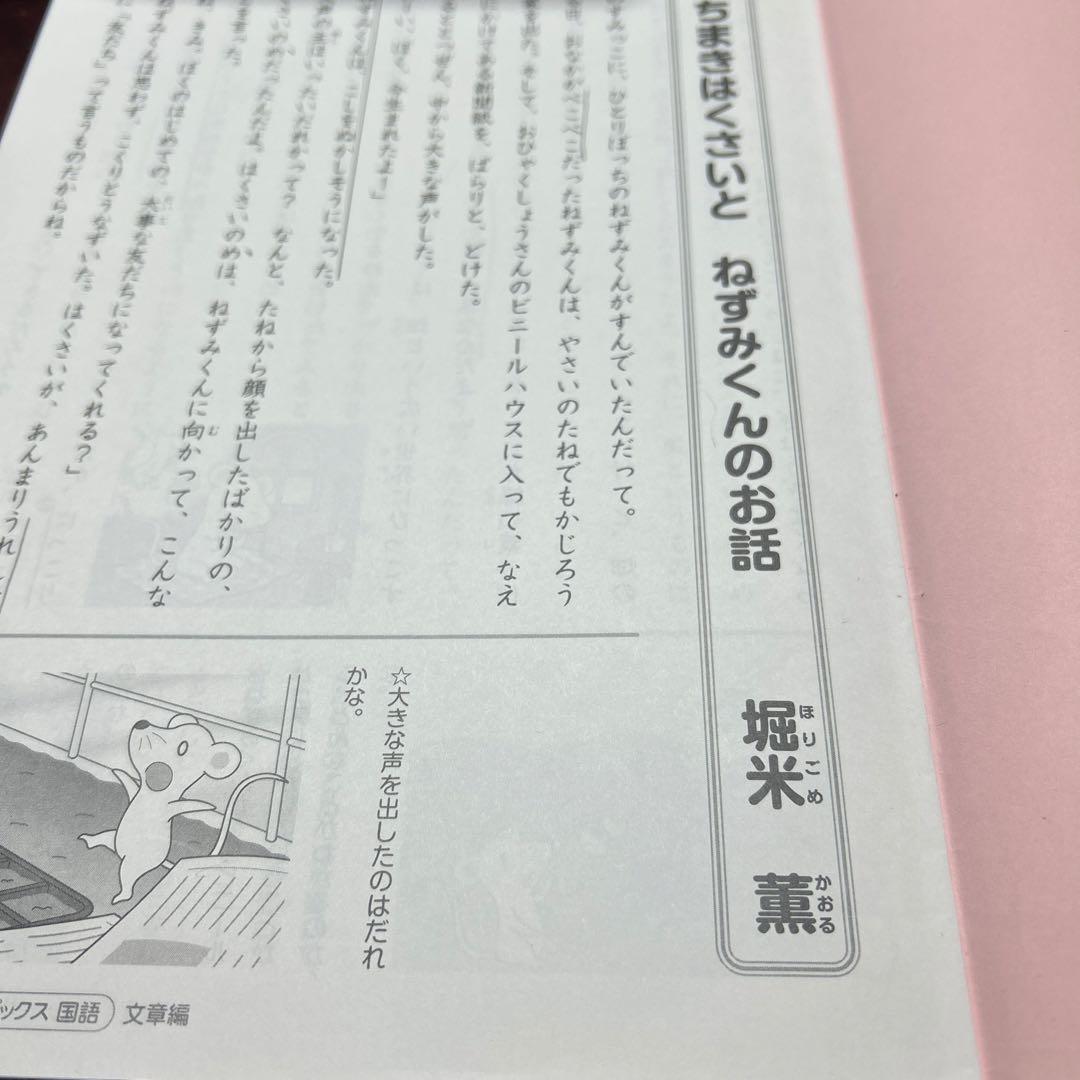 ㉓み　サピックス　SAPIX 3年　国語　テキスト　一年分フルセット