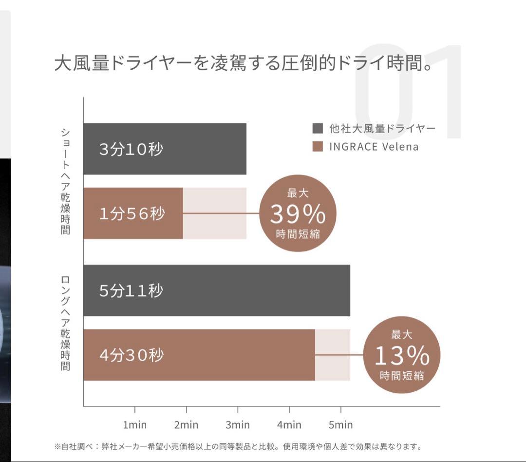 INGRACE Velena hairdryer グレージュ