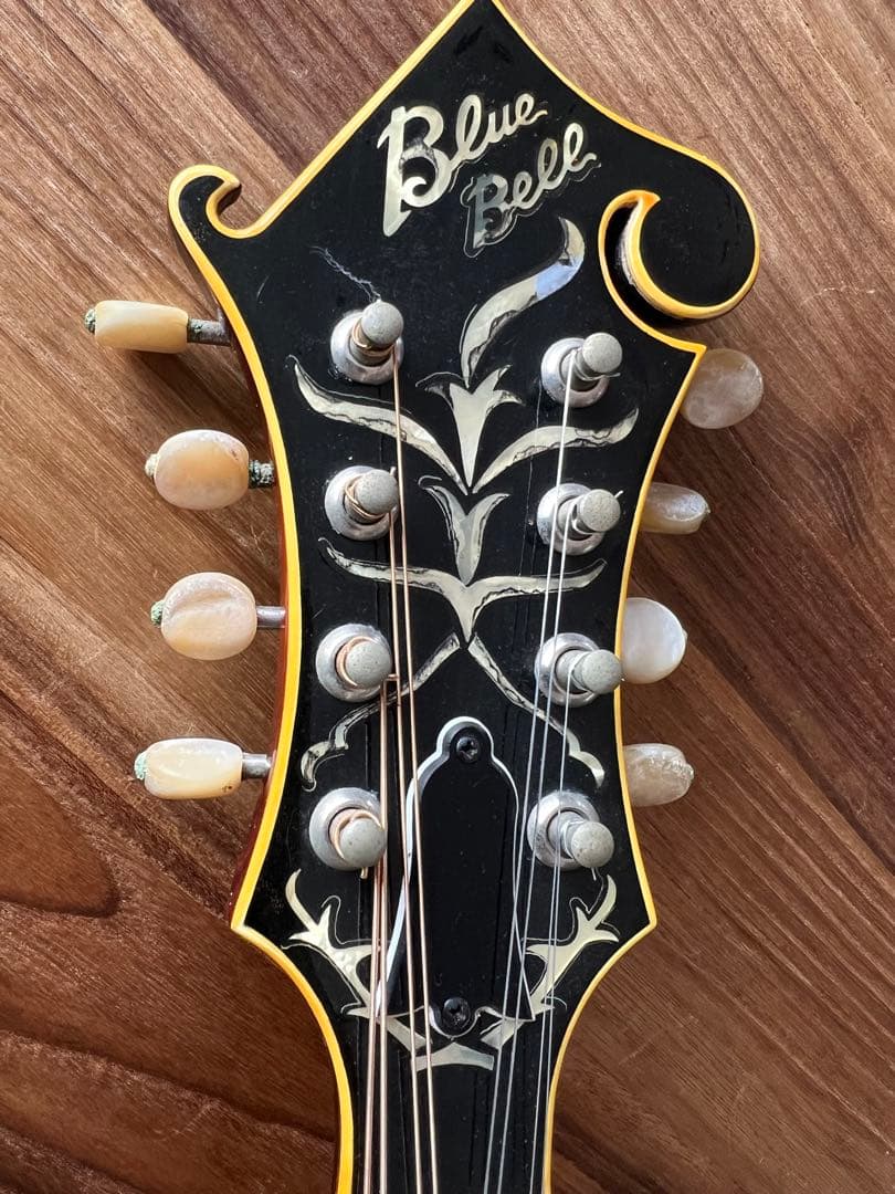 Blue Bell F-15 フラットマンドリン （富士弦）フジゲン　ビンテージ