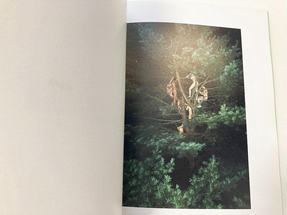 アート・デザイン・音楽 Ryan Mcginley