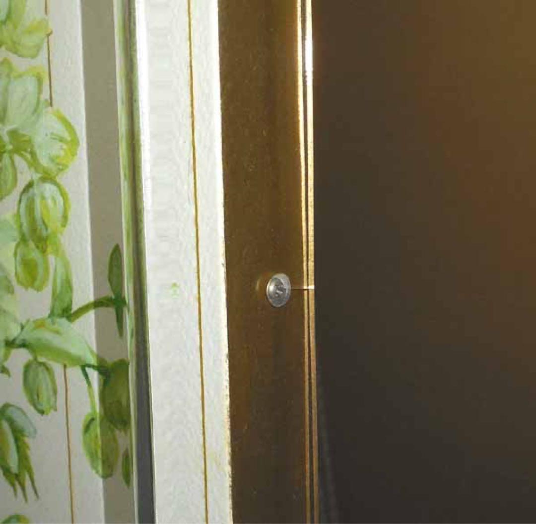 原画！橋本不二子「クリスマスローズ」水彩画 豪華アクリルBOX型額縁！直筆サイン