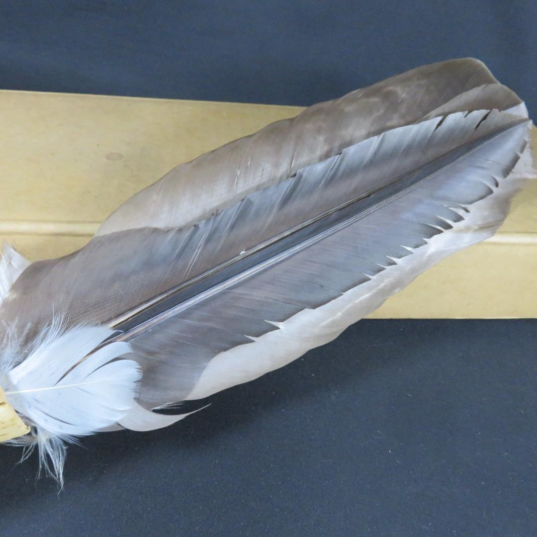 羽箒 茶道具 紙箱 鳥 羽根 茶の湯 お茶道具 お点前 手習い