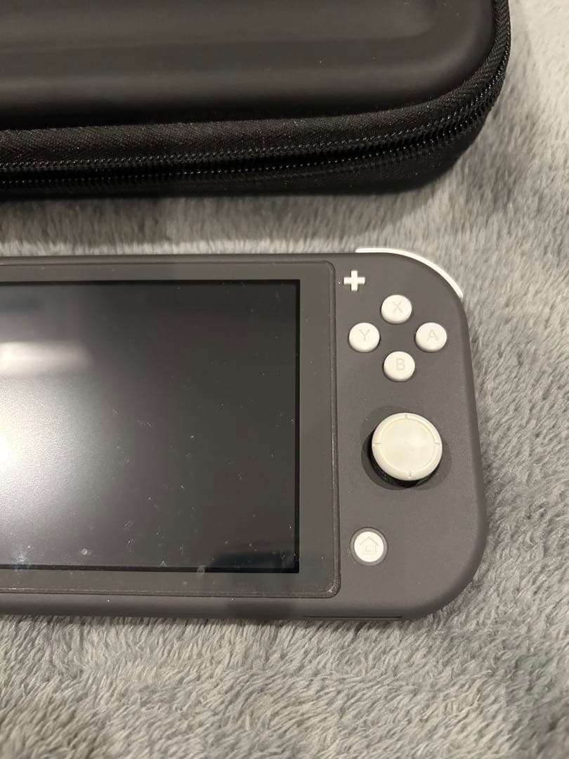 Nintendo Switch Lite グレー本体(ケース・プロテクター付き)