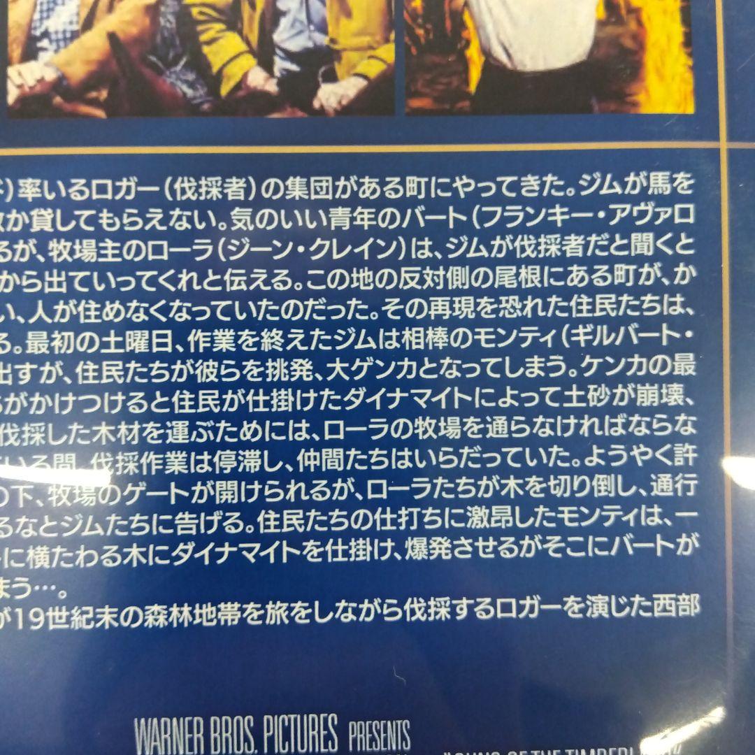 ＜セル版／廃盤／希少＞ 大爆破 アラン・ラッド主演 復刻シネマライブラリー