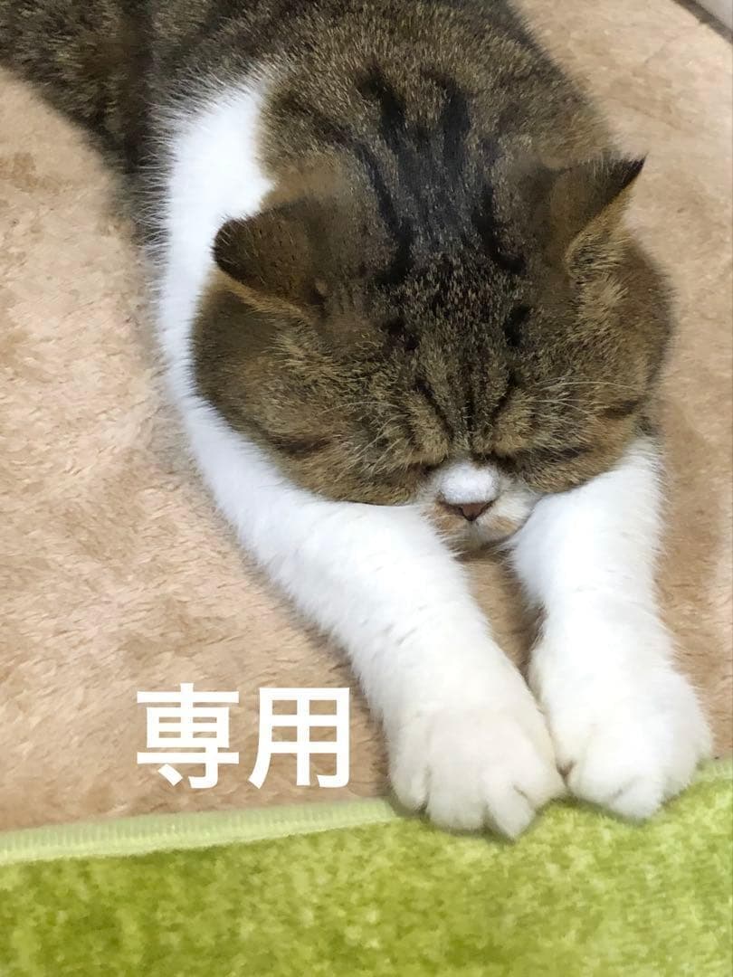 専用：着物８　松田聖子　小花スカラップ柄袷着物　黒　正絹　身丈１６９裄丈６９.５