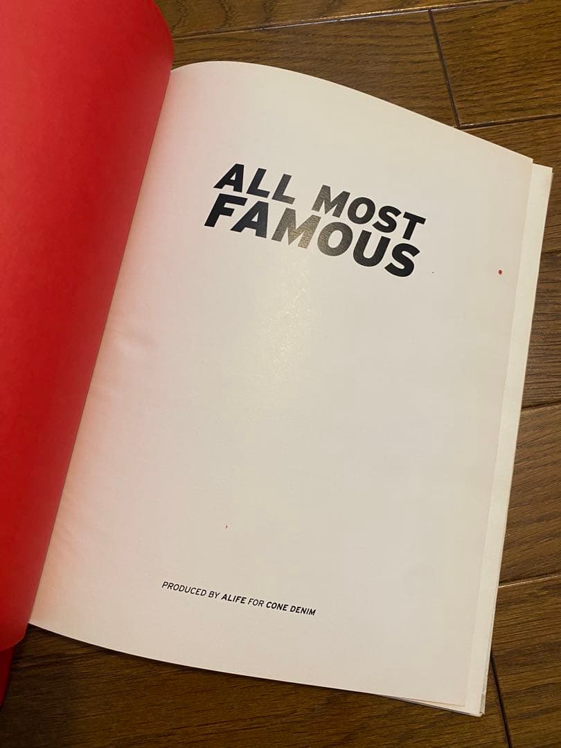 激レア　all most famous NY 写真集　未発売　2004