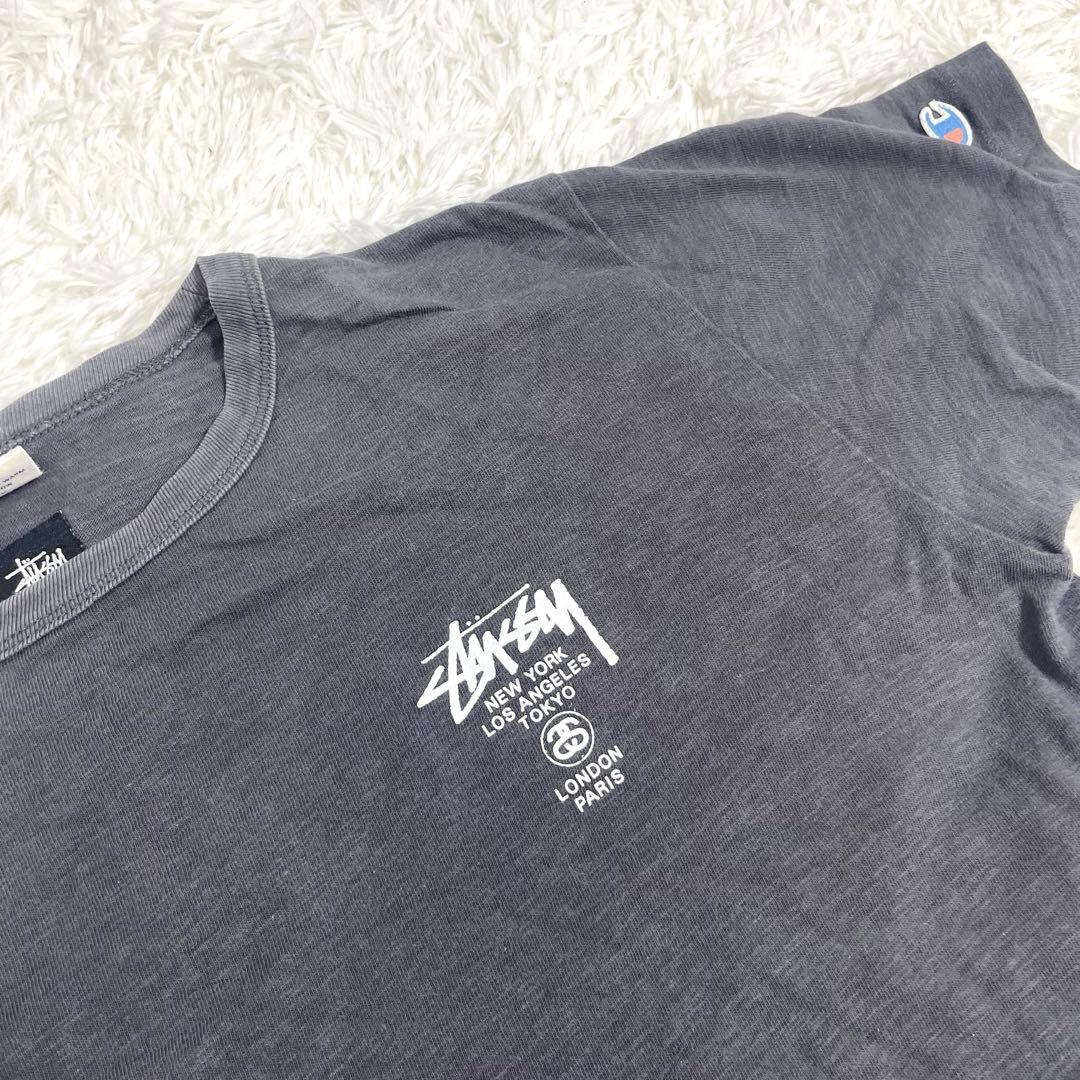 レア　OLD STUSSY SKULL WING チャンピオン製コラボＴ80