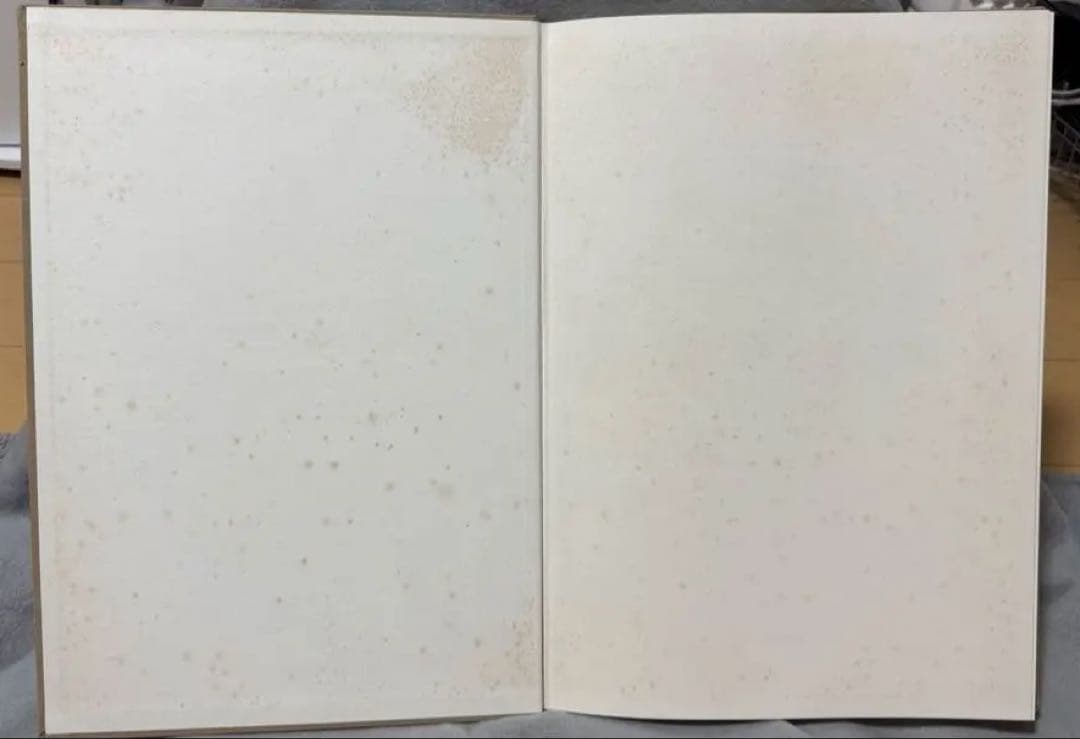 鴨居玲素描集 1988年発行 日動出版