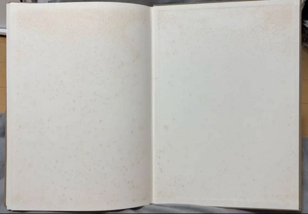 鴨居玲素描集 1988年発行 日動出版