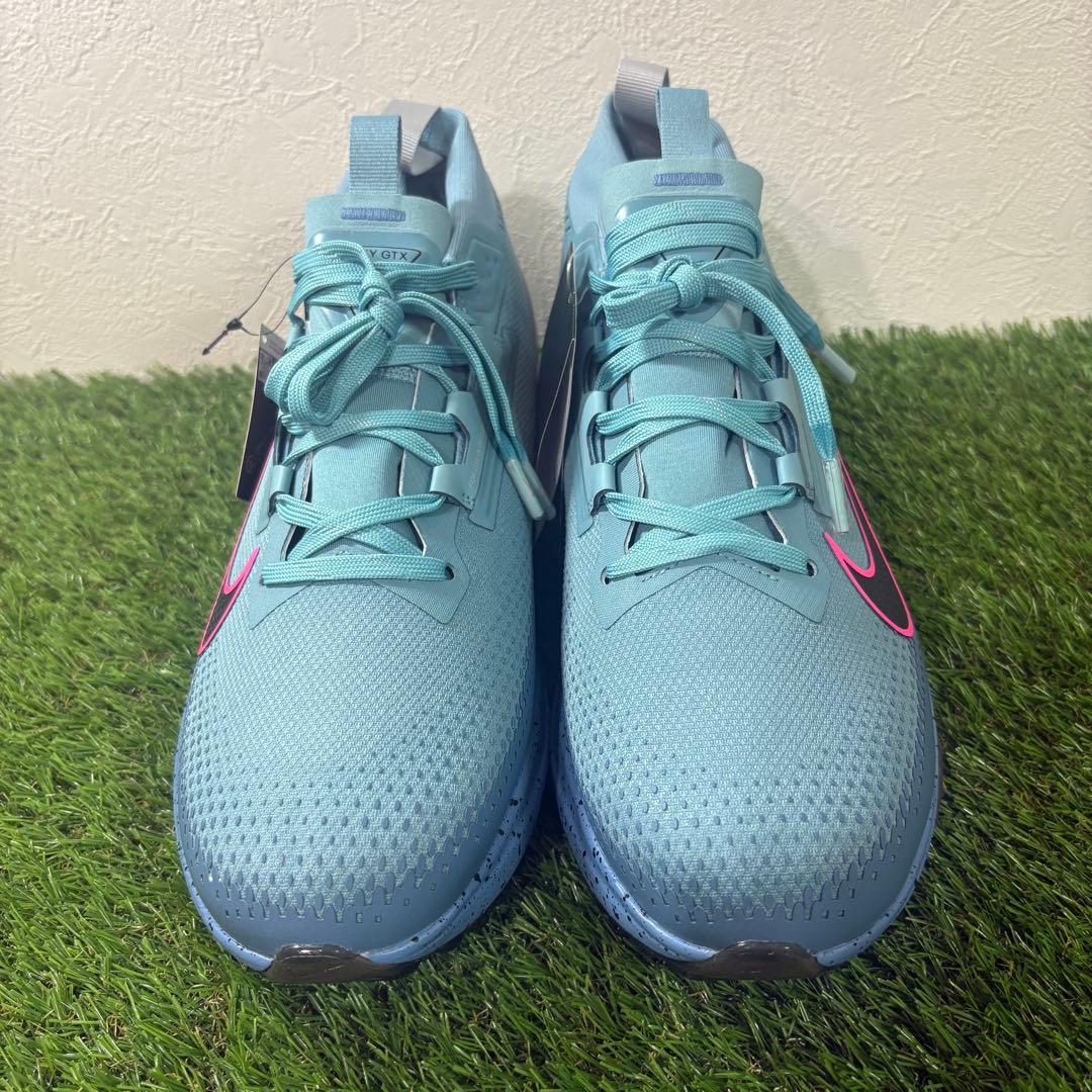 【NIKE GOLF】新品インフィニティツアー2GORE-TEX ゴルフシューズ