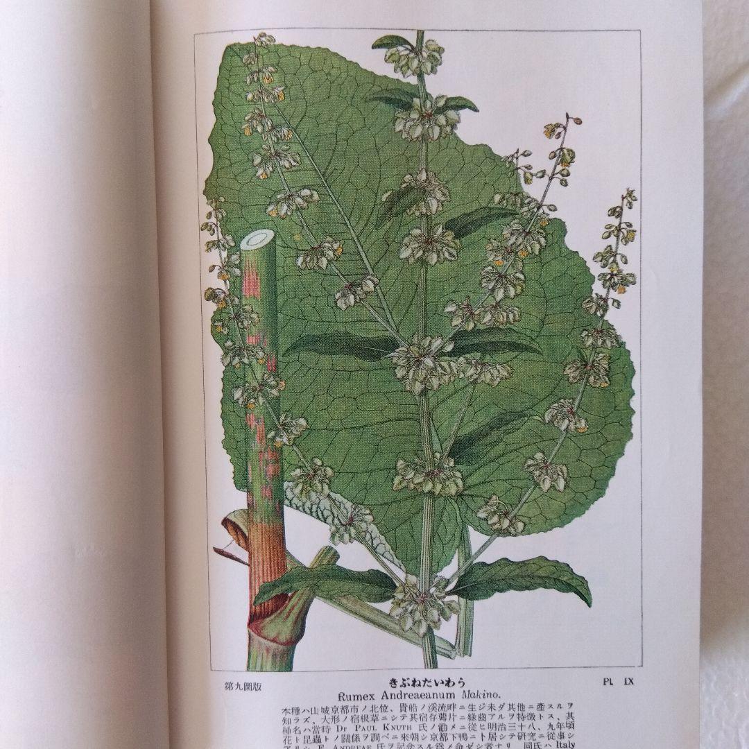 【古書・希少・レア】牧野日本植物図鑑（改訂版）牧野富太郎　北隆館