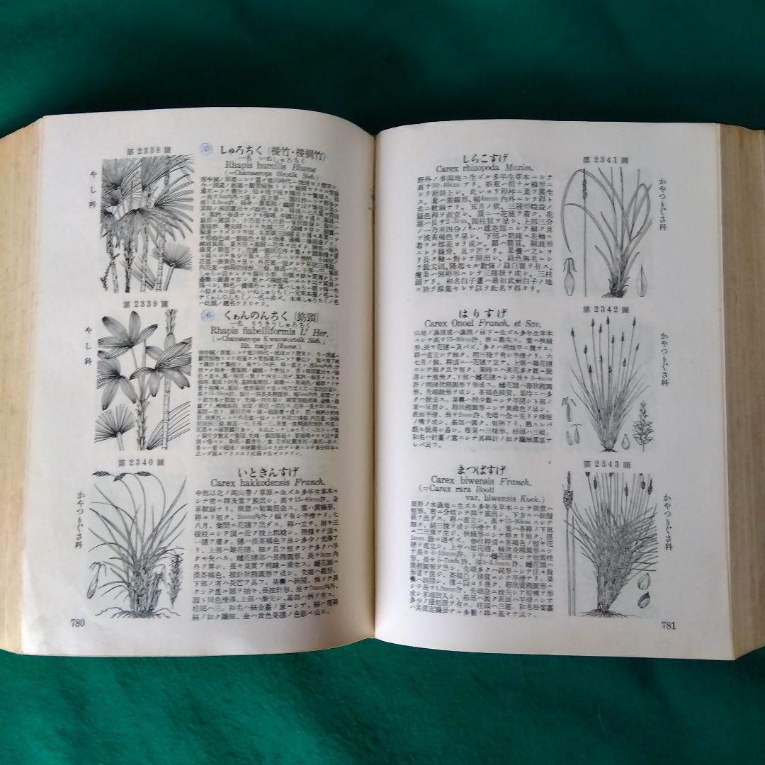 【古書・希少・レア】牧野日本植物図鑑（改訂版）牧野富太郎　北隆館