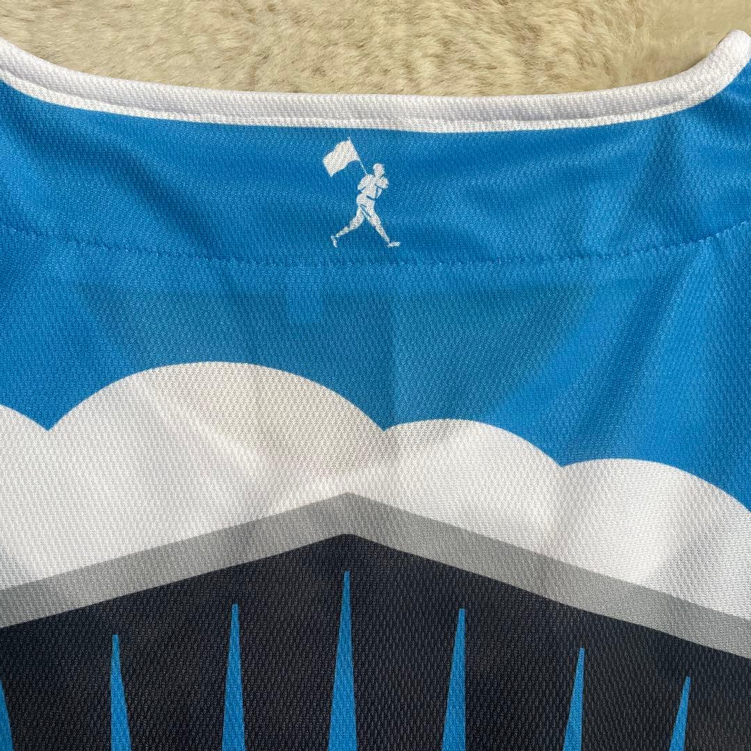 北海道日ハムファイターズユニホーム2025限定×野球観戦応援グッズ×12点＋2点