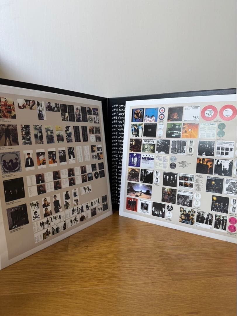 邦楽 THEE MICHELLE GUN ELEPHANT TMGE 106