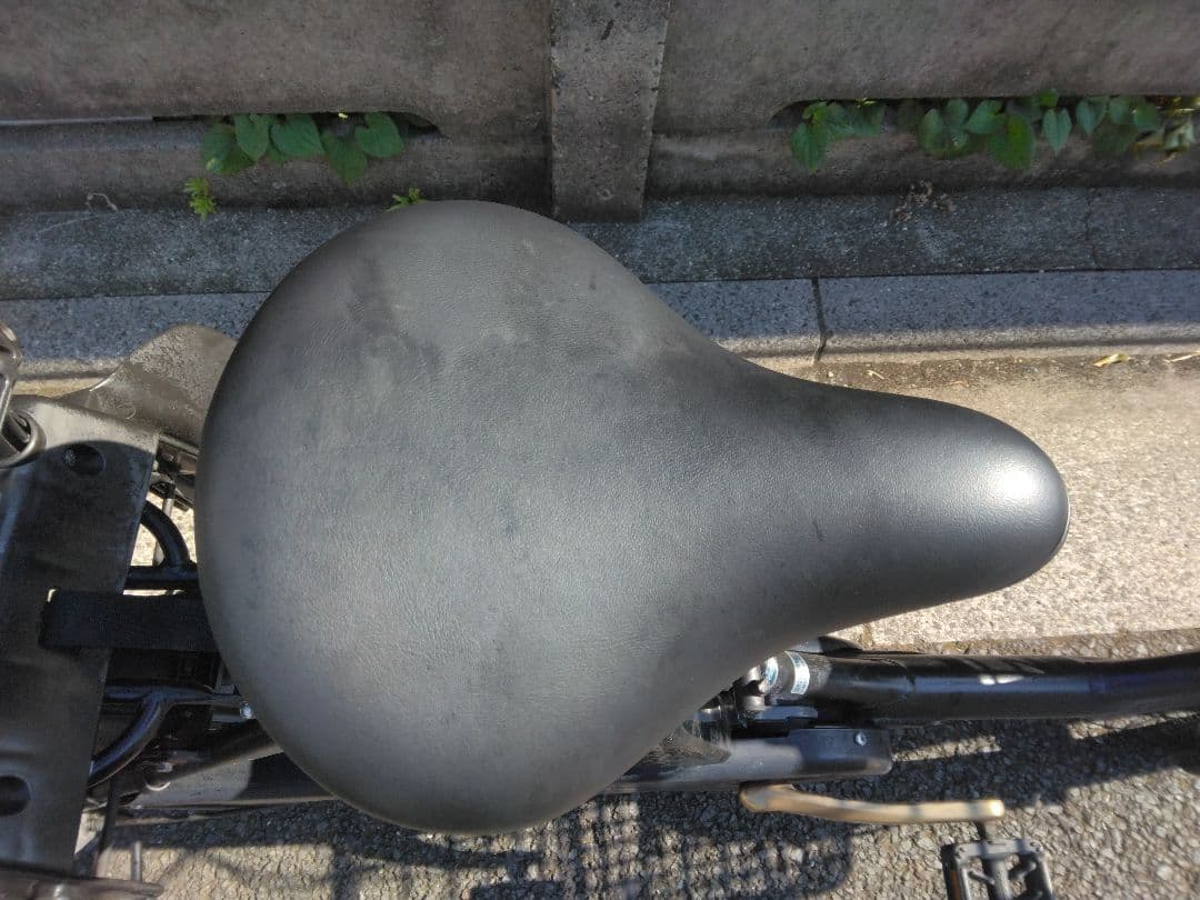 値下げ不可　Panasonic ギュットアニーズDX ブラック