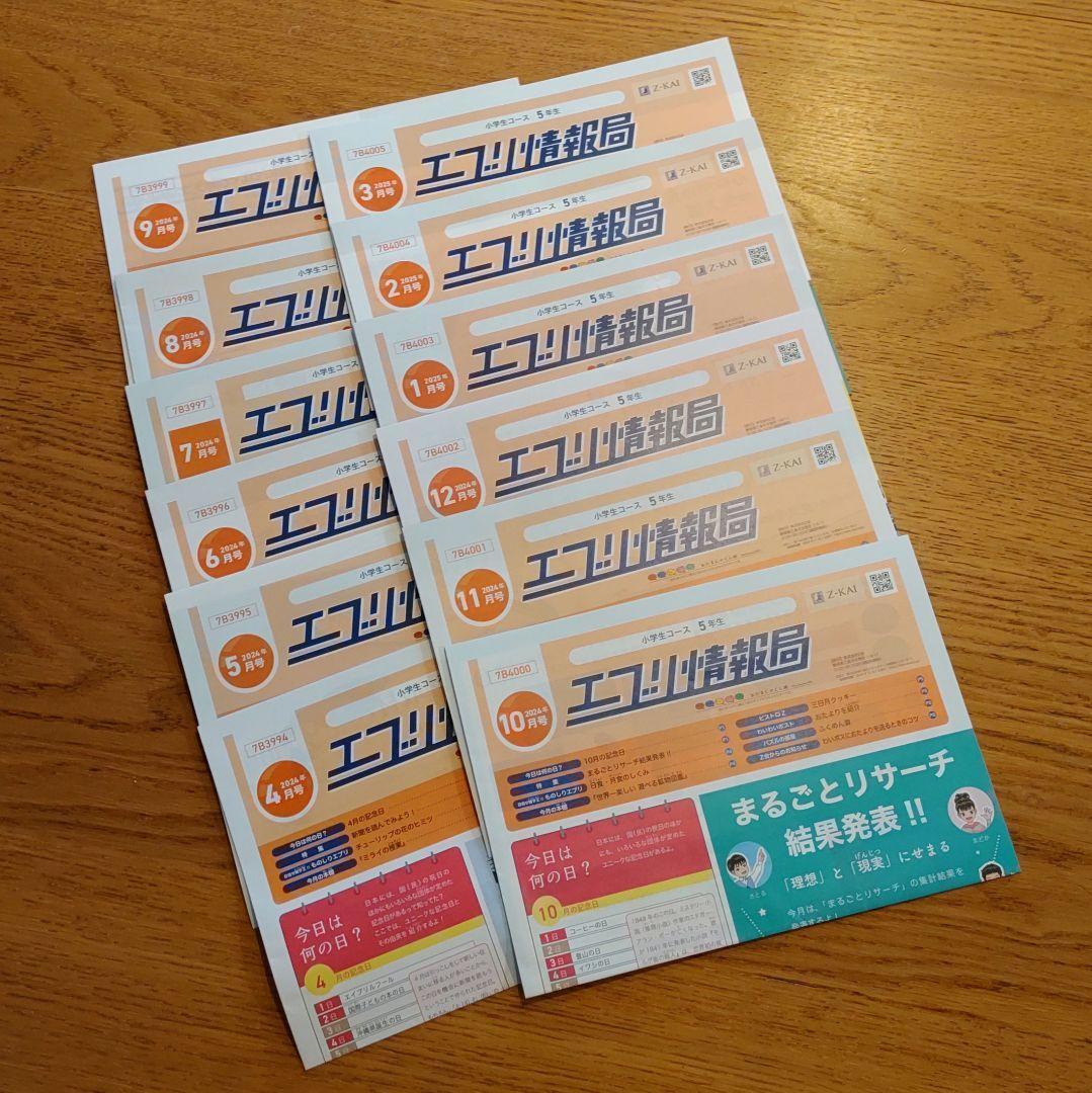 Z会　小5　エブリスタディ　 2024年4月-2025年3月　最新版　１年分