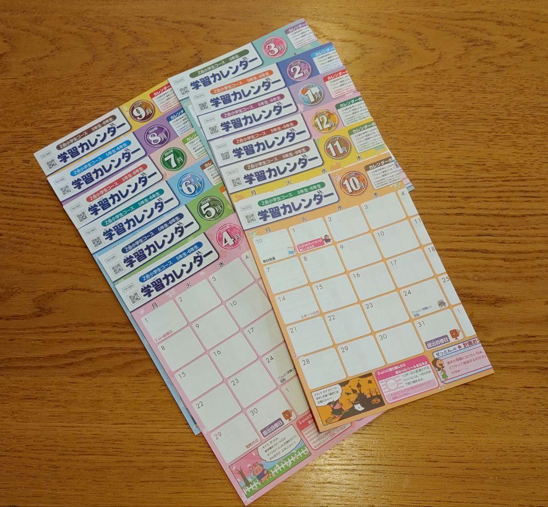 Z会　小5　エブリスタディ　 2024年4月-2025年3月　最新版　１年分