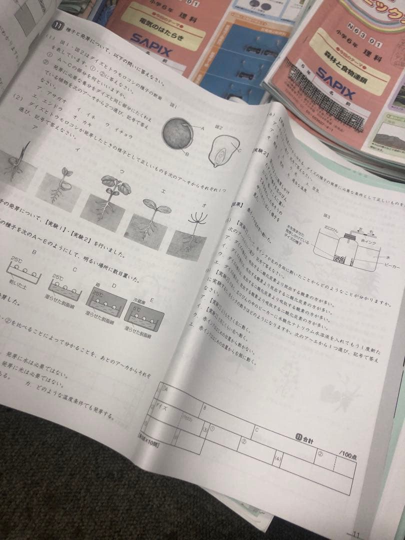 サピックス６年理科　デイリー/夏期集中/春夏/土特 /日特　中古　２０２５年受験