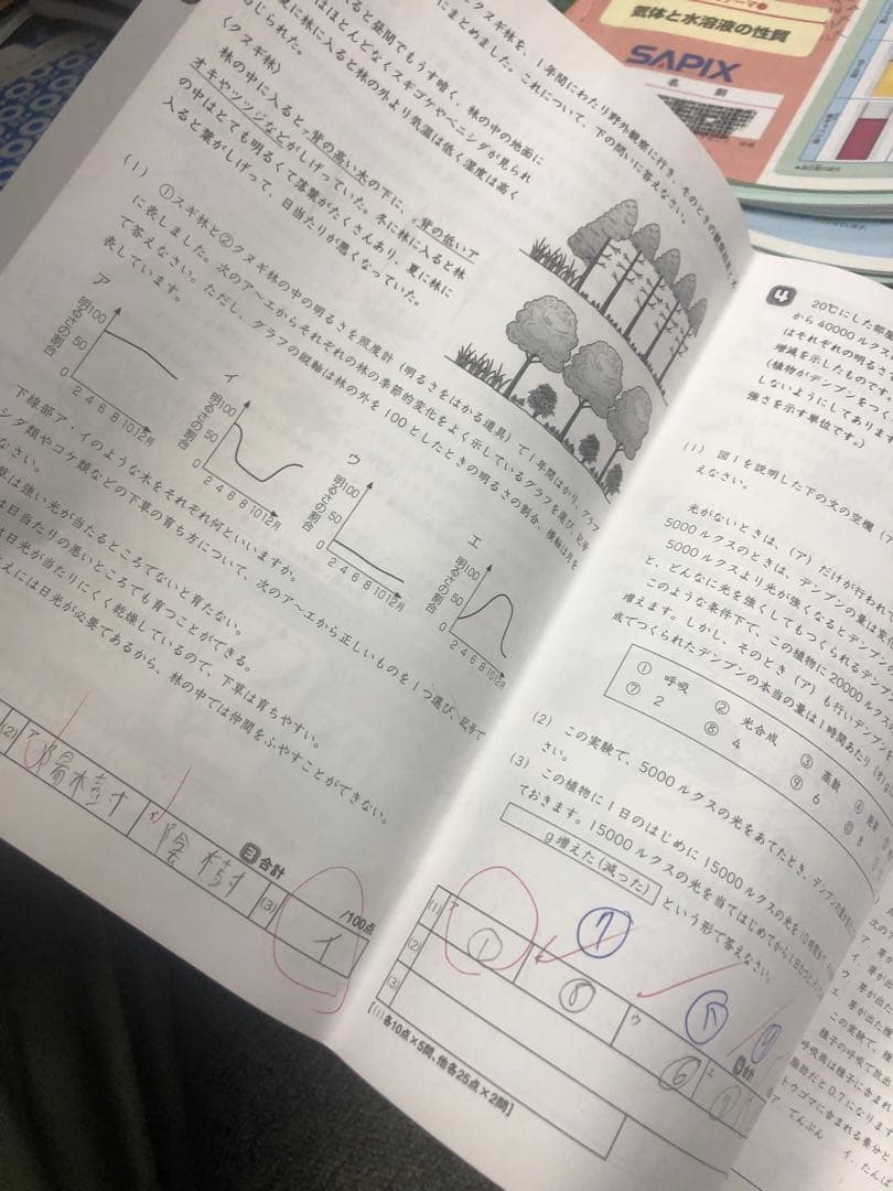 サピックス６年理科　デイリー/夏期集中/春夏/土特 /日特　中古　２０２５年受験