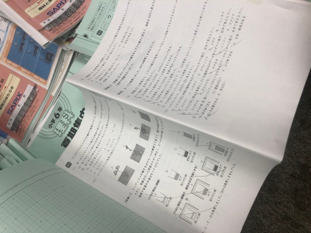 サピックス６年理科　デイリー/夏期集中/春夏/土特 /日特　中古　２０２５年受験