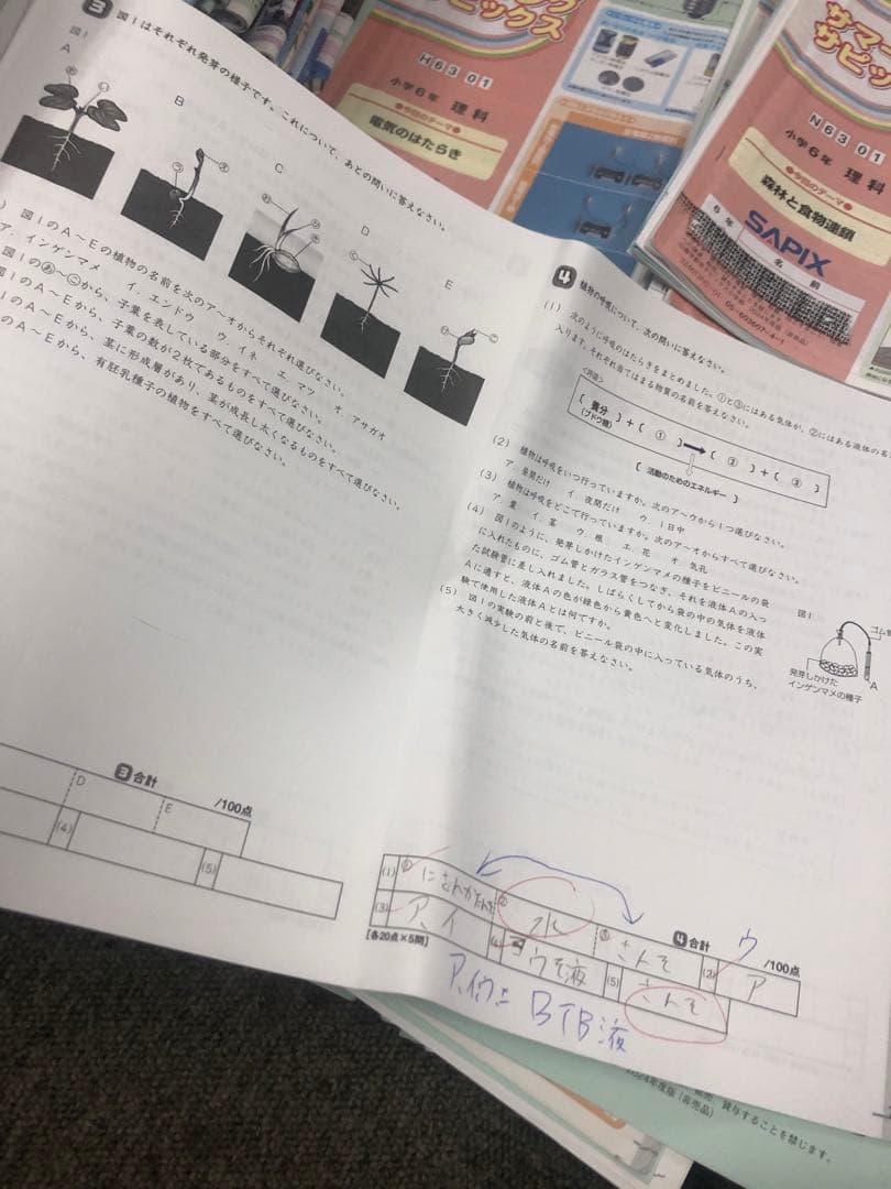 サピックス６年理科　デイリー/夏期集中/春夏/土特 /日特　中古　２０２５年受験