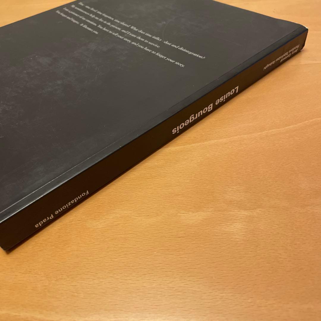 洋書 LOUISE BOURGEOIS,BLUE DAYS AND PINK DAYS