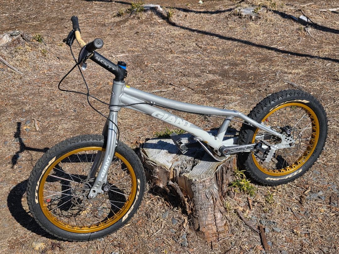 激レア❗ジャイアント　トライアル　GIANT TRIALS COMP