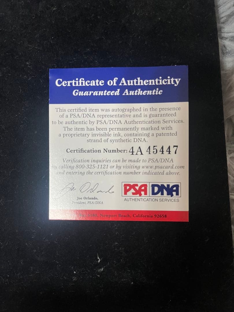 川崎宗則 2009年 WBC 日本代表 直筆サインボール PSA鑑定証明書付き