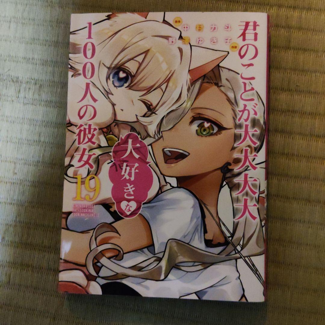 君のことが大大大大大好きな100人の彼女　小説＆漫画1〜19巻