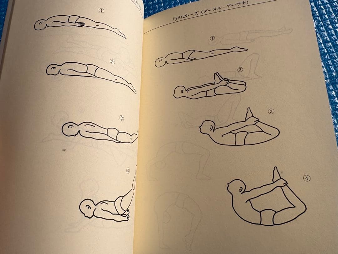 ヨーガとからだの科学　インドの聖僧によるアーサナ、プラーナヤマ、瞑想法　東宣出版