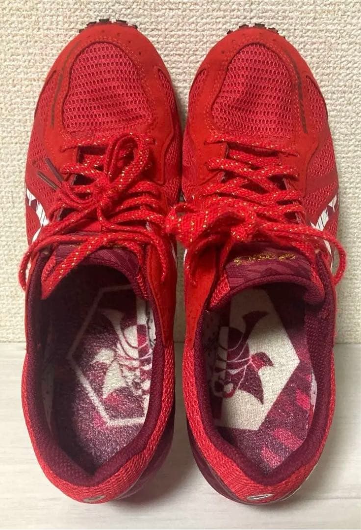 ソーティマジック【25.0】