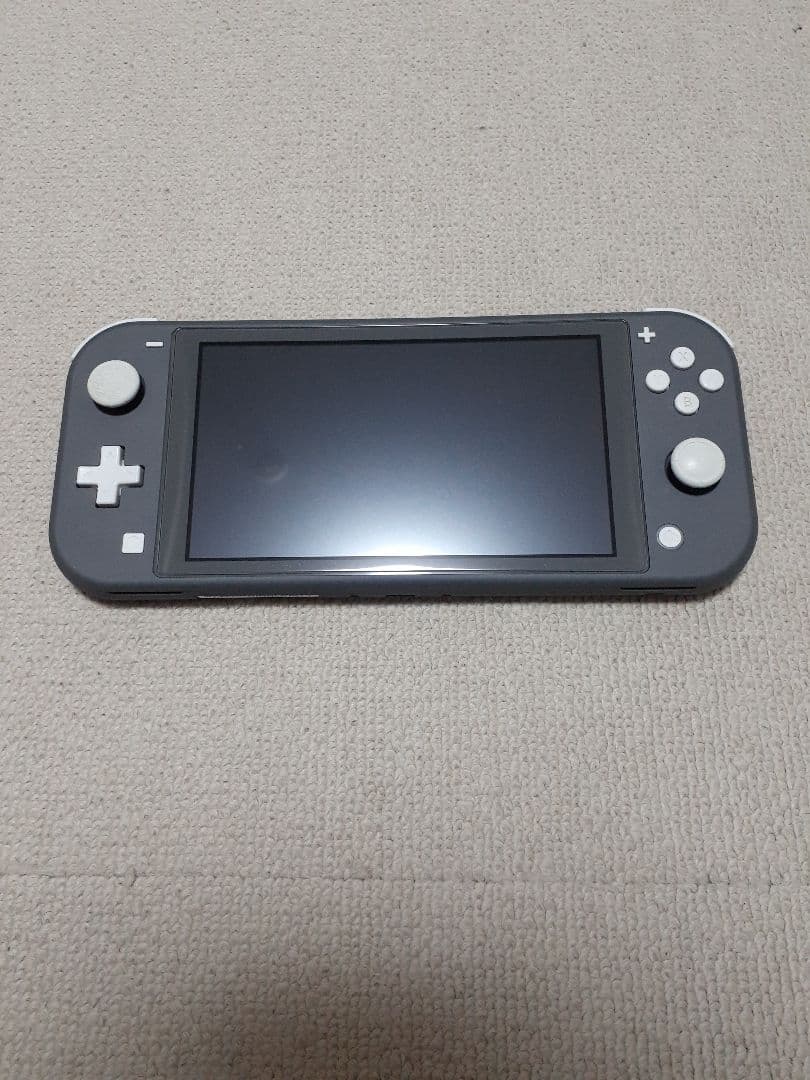 Nintendo Switch Lite グレー 2023年