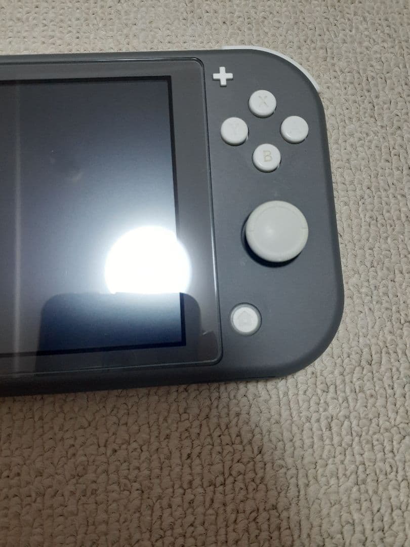 Nintendo Switch Lite グレー 2023年