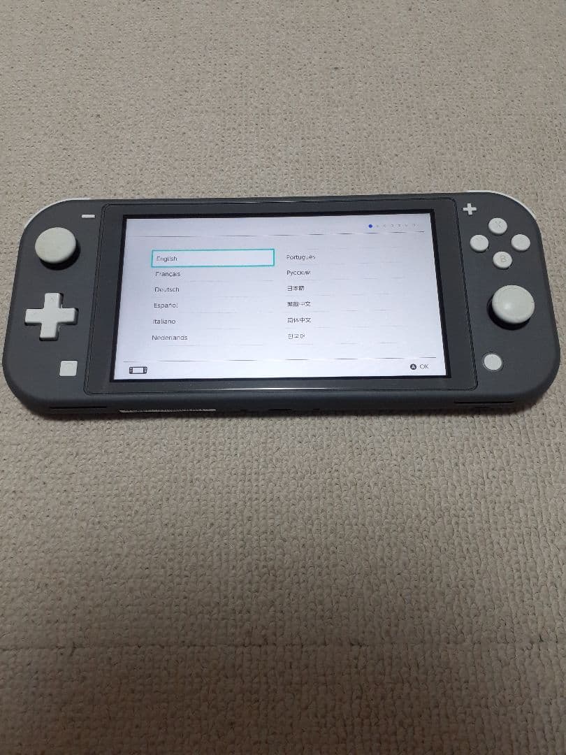 Nintendo Switch Lite グレー 2023年