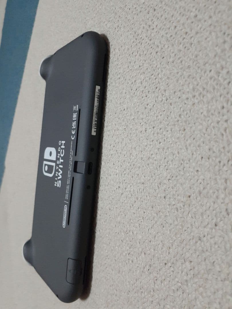 Nintendo Switch Lite グレー 2023年
