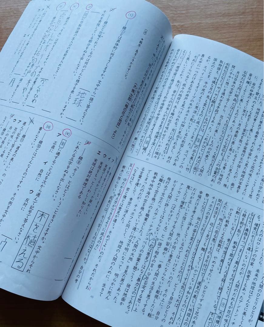 【2024年度版】 ena 小学5年生 パースペクティブ テキスト 1年分