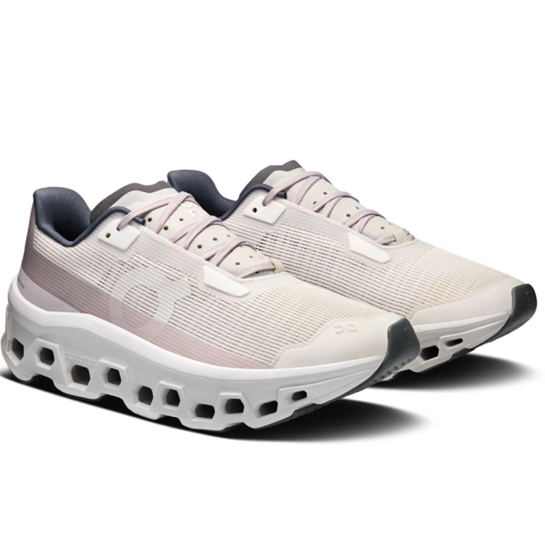 最終値下げ emmi×On Cloudmonster Void グレー 完売品