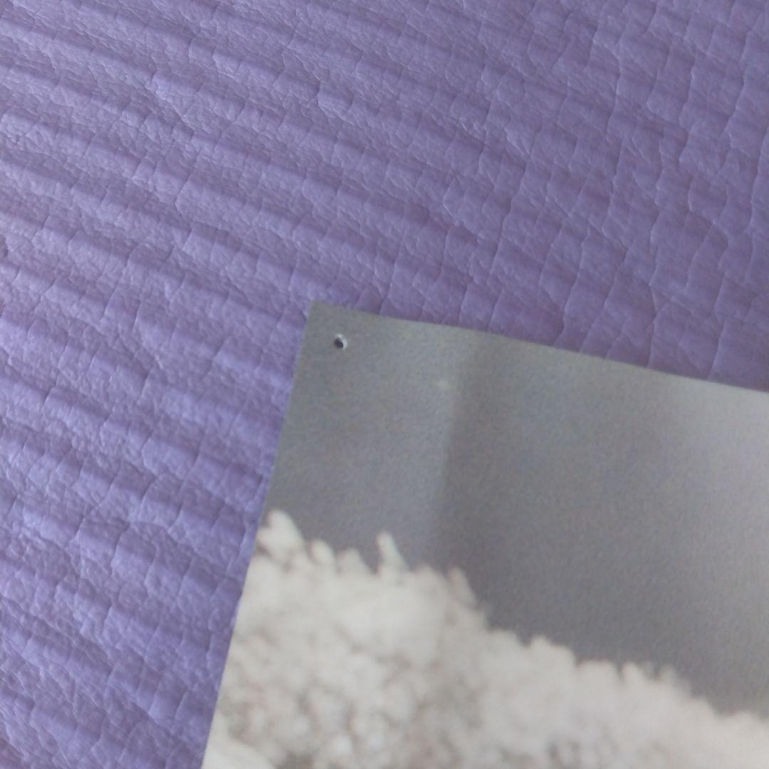 エレファントカシマシ会報　パオ4号