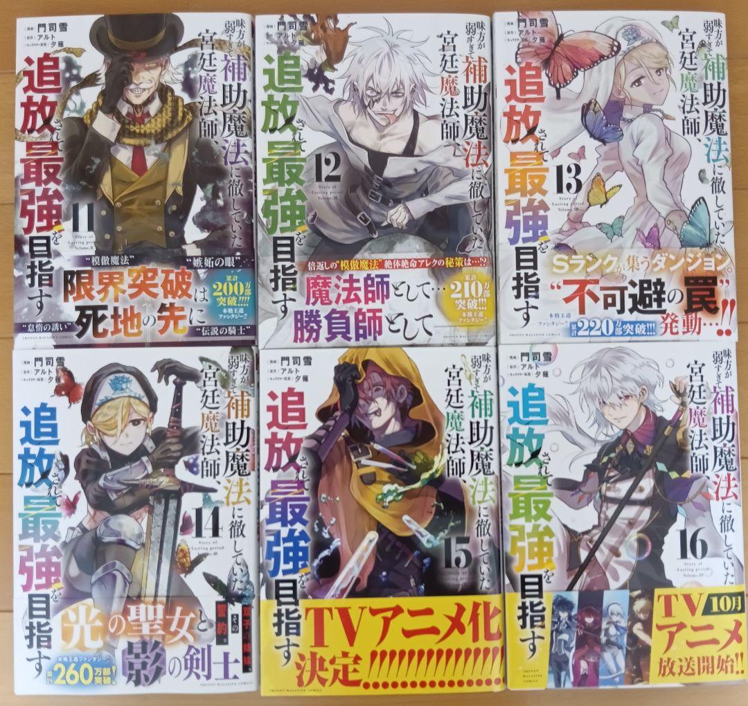 味方が弱すぎて補助魔法に徹していた宮廷魔法師、追放されて最強を目指す　1〜17巻