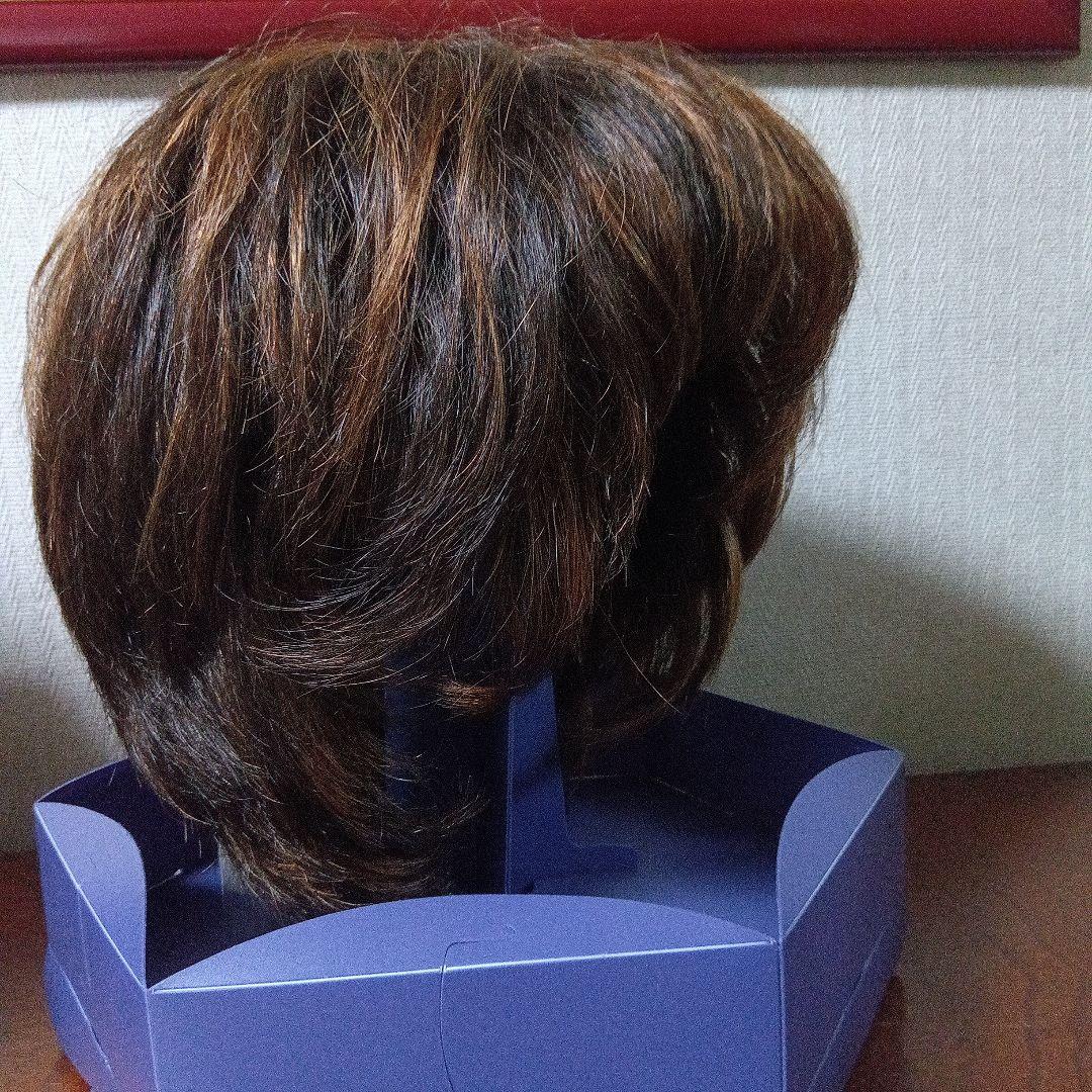 フォンティーヌ　ブラウン ショートウィッグ 人毛ミックス