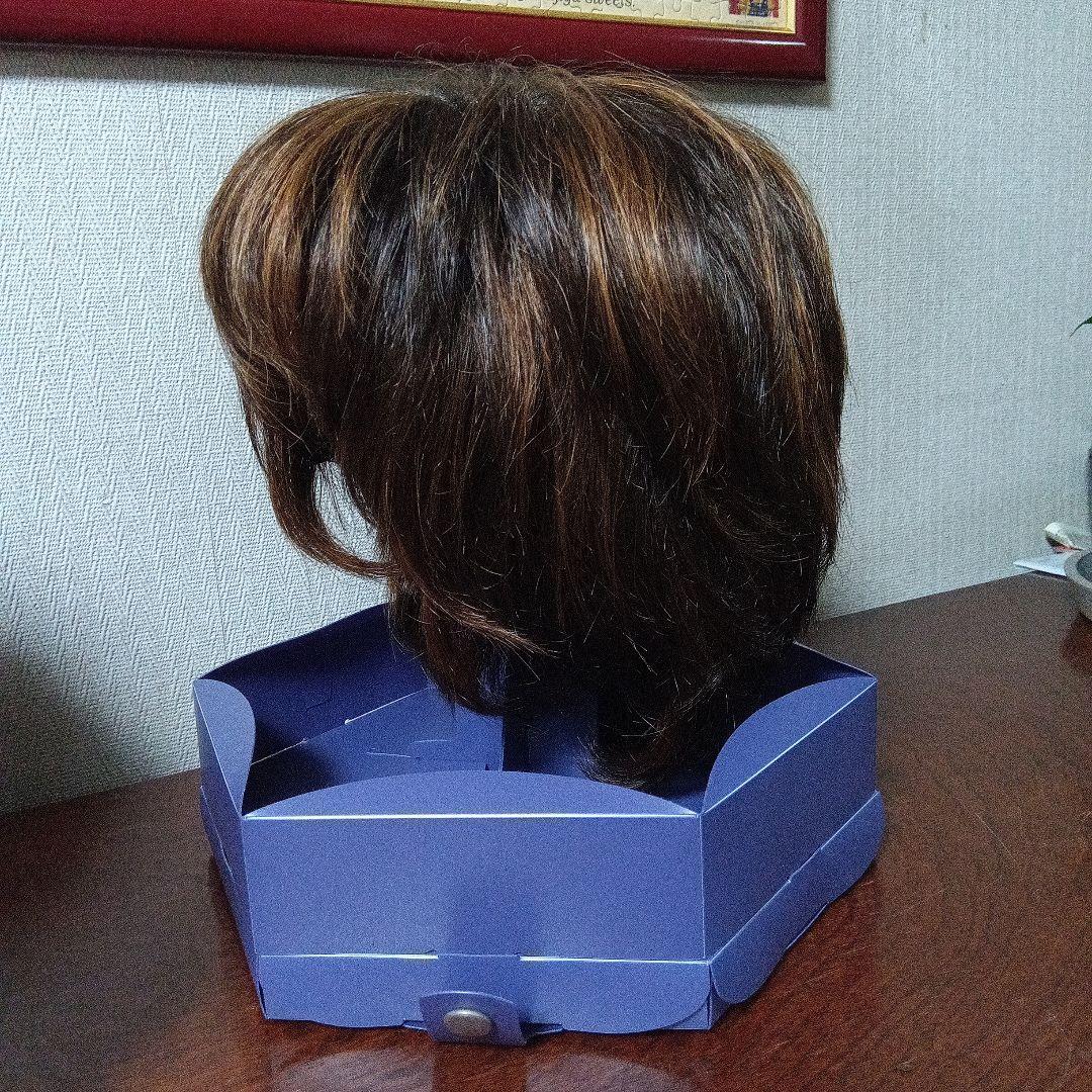 フォンティーヌ　ブラウン ショートウィッグ 人毛ミックス